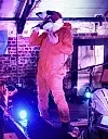 Fox Will Eat Itself 