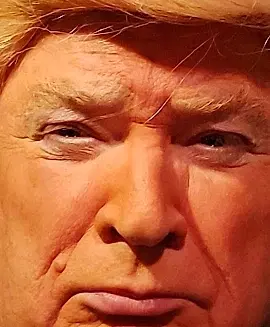 President Trump